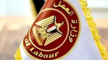 هل يحق لصاحب العمل تفتيش هاتف الموظف؟